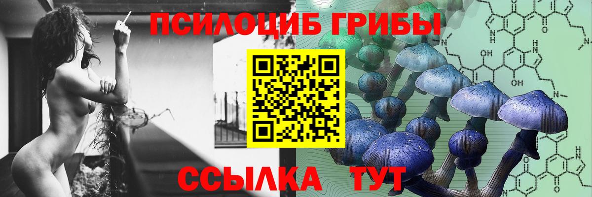Псилоцибиновые грибы мицелий Коммунар